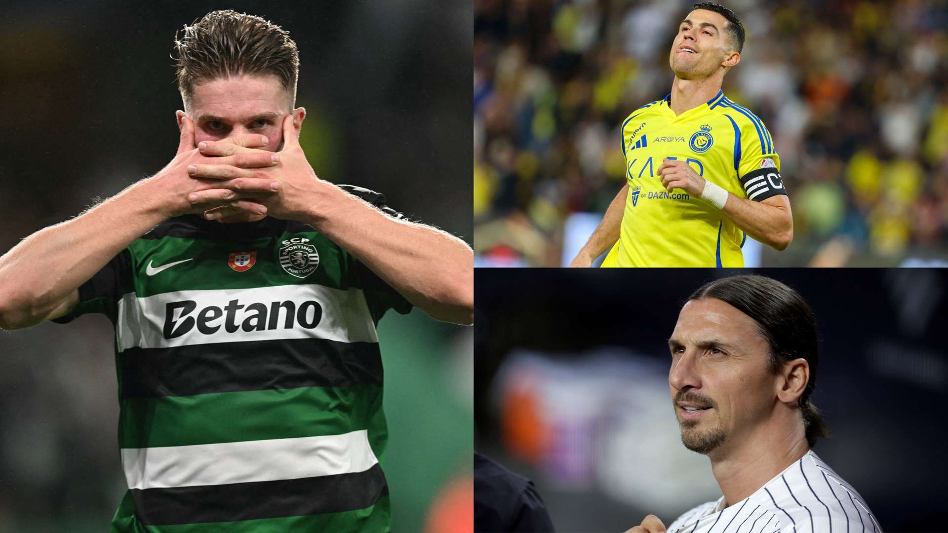 季的团队氛 季的团队氛